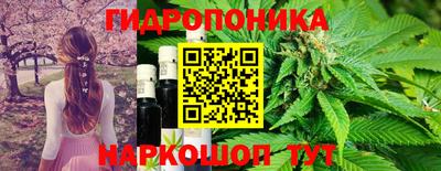 трава Камышлов